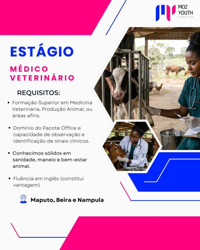 Vaga de ESTÁGIO – Médico Veterinário