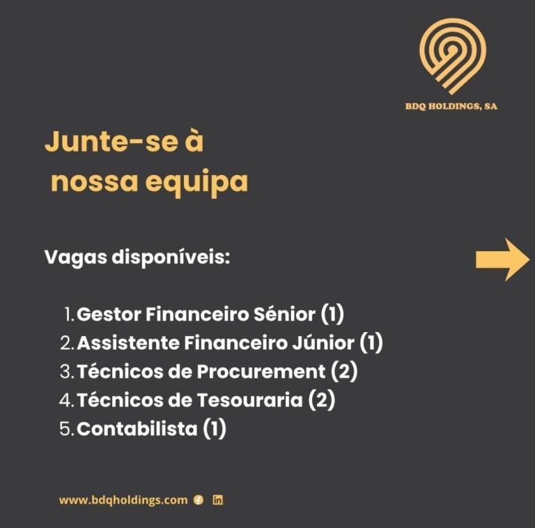 A BDQ Holdings Abre (07) Vagas de emprego em Diversas áreas